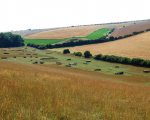 Cross country course