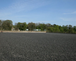 Arena