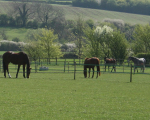 Secure turnout