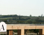 Arena