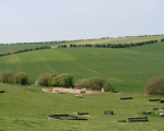 Cross country course