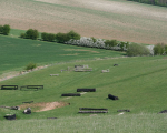 Cross country course